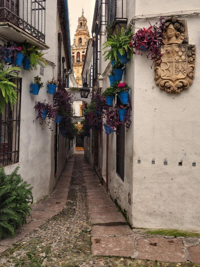 Calle San Basilio - Patios. Aparcamiento Gratis Cordoba Exterior photo